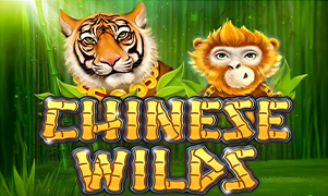 Trang bìa game tỷ lệ keo 88 Chinese Wilds